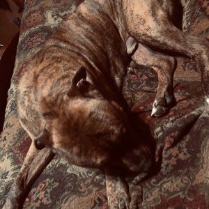 Meet your Posher, Greg